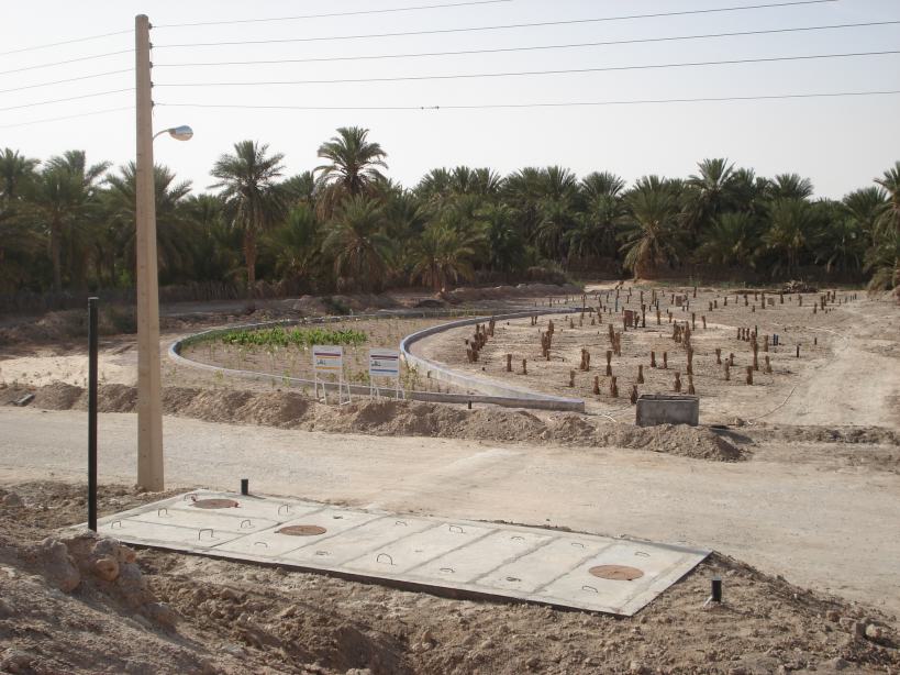 Zone humide artificielle, constructed wetland, Algérie, Algeria, Sustainable Water, Développement durable